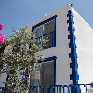 https://zeytin-dali-butik-otel-selimiye-aegean.aegeanhotels.net